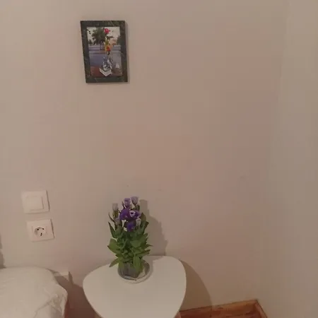 Apartment Elen Place